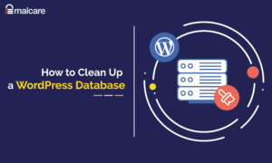 WordPress Performance Optimization Checklist
